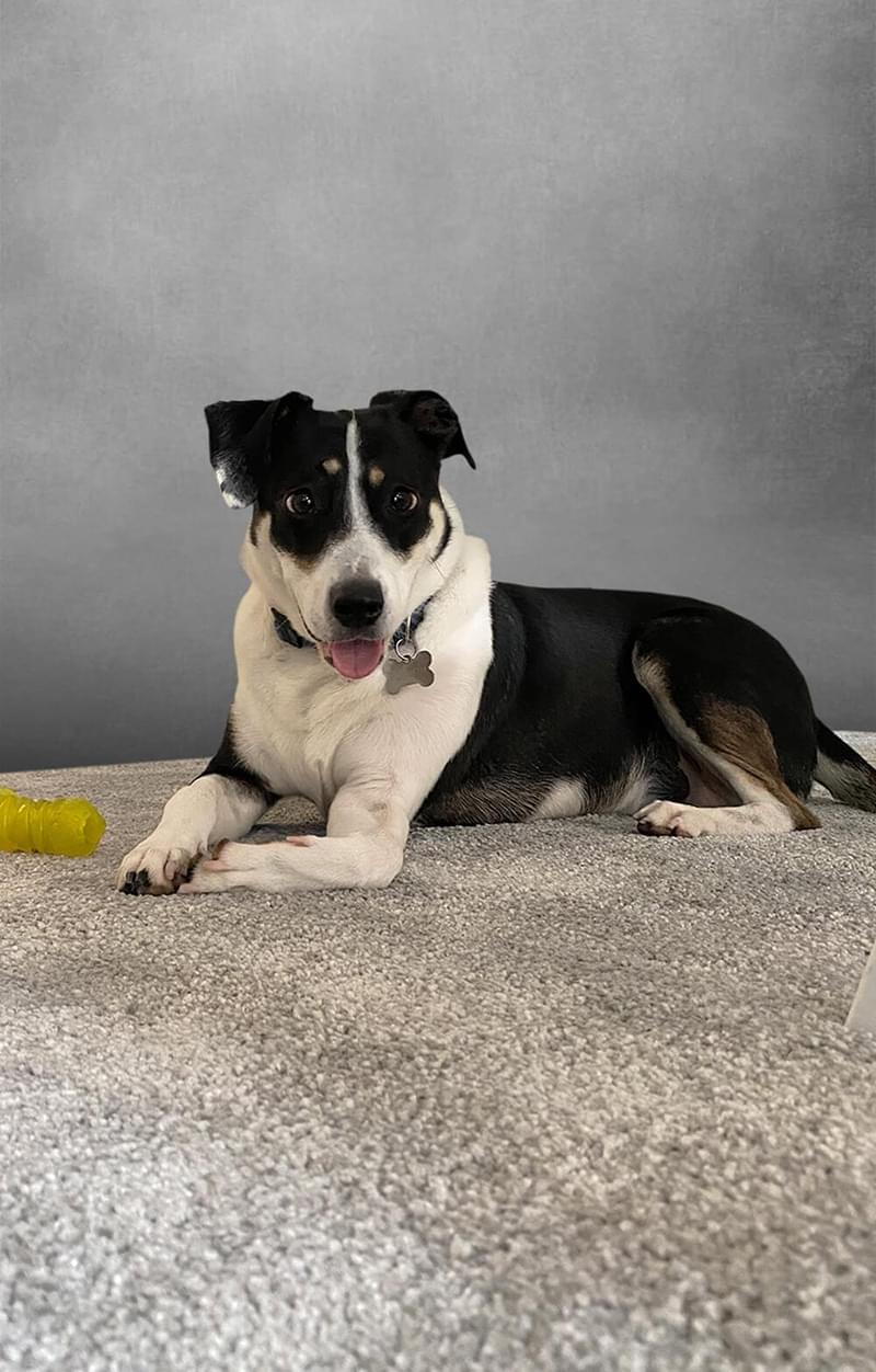 Poncho | #PULSEPOWER